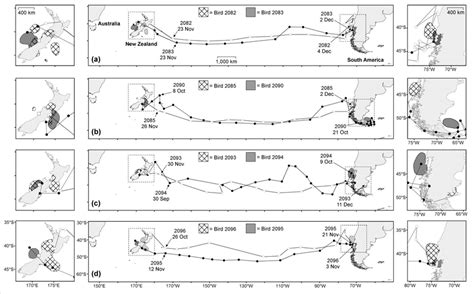 1. Migration from Westland Petrel breeding colony in New Zealand ...