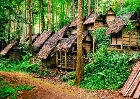 Pin on Baduy People The Tribes That Implement Isolation From The ...