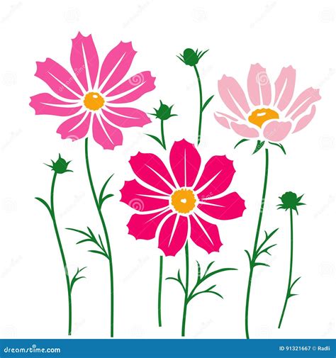 Vector Cosmos Flower Silhouette Isolated on White Stock Vector ...