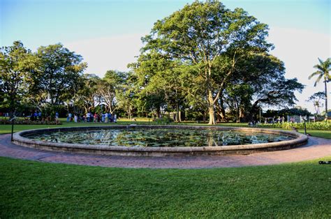 Experience the Durban Botanic Gardens with a picnic!