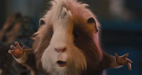 G- Force Screencaps - Guinea Pigs Image (25201562) - Fanpop