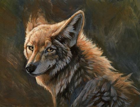 Coyote by hibbary on DeviantArt