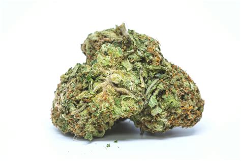 OG Kush Strain of Marijuana | Weed | Cannabis | Herb | Herb