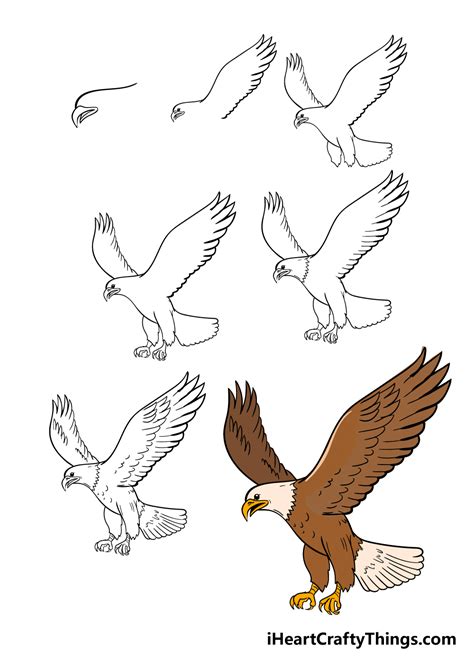 Eagle Drawing - How To Draw An Eagle Step By Step!