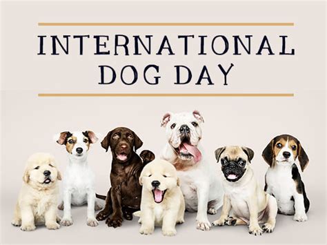 International Dog Day 2021: History And How To Celebrate This Day ...