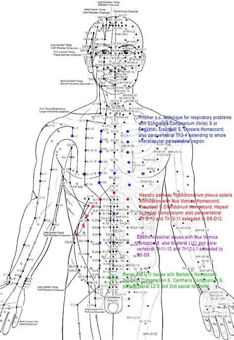 Acupuncture chart