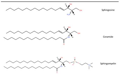 JPM | Free Full-Text | The Role of Sphingomyelin and Ceramide in Motor ...