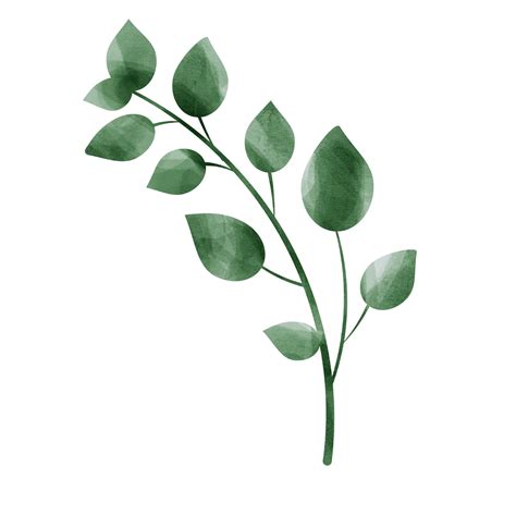 Green leaf watercolor 10883305 PNG