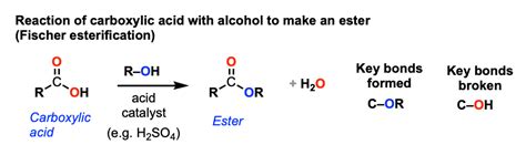 Fischer Esterification - Carboxylic Acid to Ester Under Acidic ...