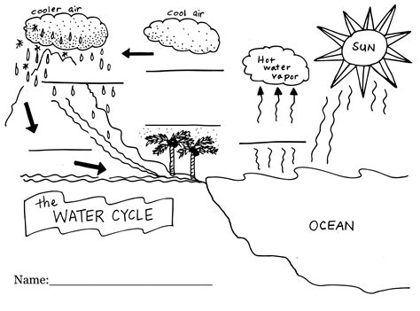 Diagram of the Water Cycle Fill In | Diagram Link | Water cycle ...