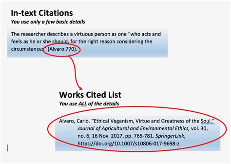 Two Types of Citation – MLA Style Citations