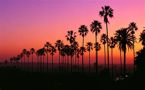 4k Los Angeles Sunset Wallpapers - Wallpaper Cave