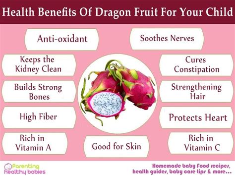 Dragon Fruit Benefits – ايميجز