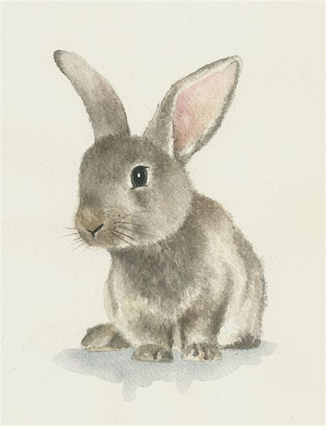 Rabbit watercolor, original bunny painting | Bunny painting, Rabbit art ...