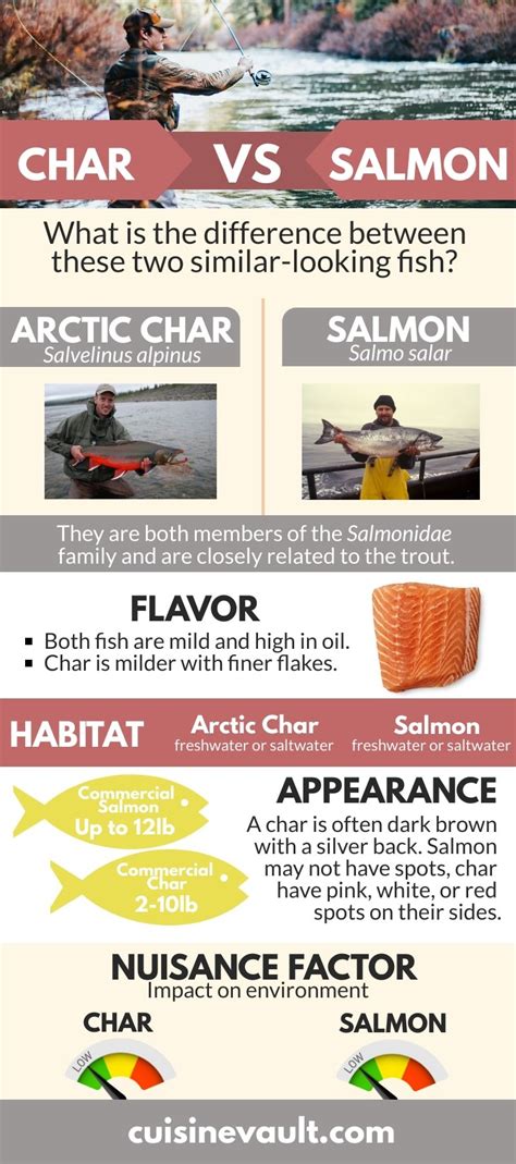 Arctic Char Vs. Salmon - Beginner's Guide