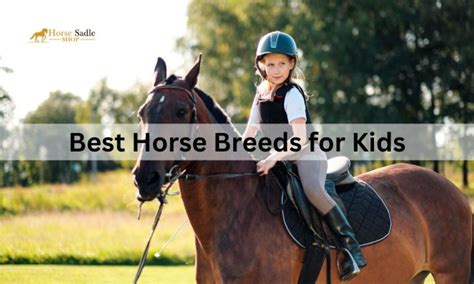 Best Horse Breeds for Kids | Horse Saddle Shop