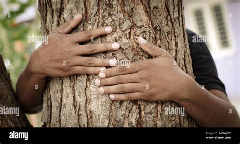 Chipko movement hi-res stock photography and images - Alamy