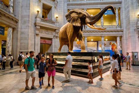 Washington DC: Museum of Natural History Private Guided Tour | GetYourGuide