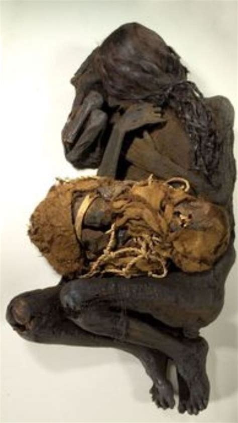 61 best Bog Bodies images on Pinterest | Bog body, Archaeology and Denmark