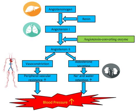 Hypertension Causes And Effects