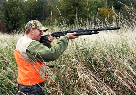 Hunter in Orange Safety Vest Stock Photo - Image of marsh, hunter: 12460750