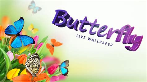 🔥 [150+] Free Live Butterfly Wallpapers | WallpaperSafari