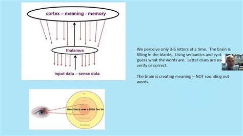 2. Eye Movement: We See With Our Brains | Reading instruction, Holistic ...