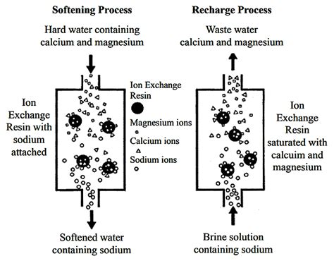 How Water Treatment Plants Ensure Safe Drinking Water | Treatment ...