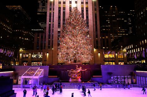 Rockefeller Center tree is the most searched Christmas tree