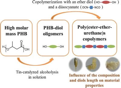 Synthesis and characterization of block poly(ester‐ether‐urethane)s ...