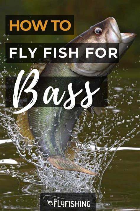 How to Fly Fish For Bass: An Angler's Guide - Into Fly Fishing