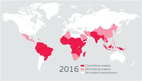 Malaria-Free World Possible Within a Generation, Study Says | UC San ...