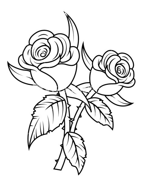 Line Drawing Roses at GetDrawings | Free download