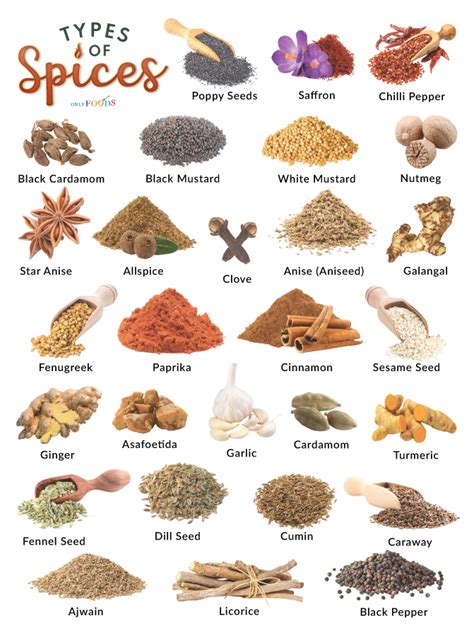 List of the Different Types of Herbs and Spices With Pictures