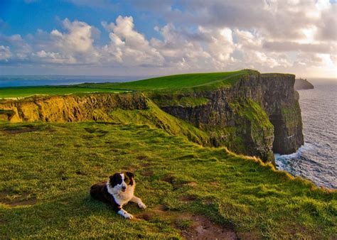 Careers at the Cliffs of Moher | Cliffs of Moher Visitor Experience