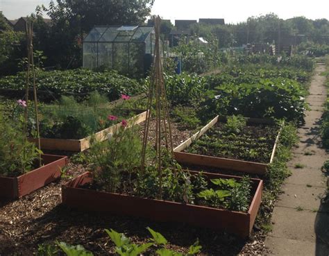 Help! We've Got An Allotment - Growing Family | Allotment gardening ...