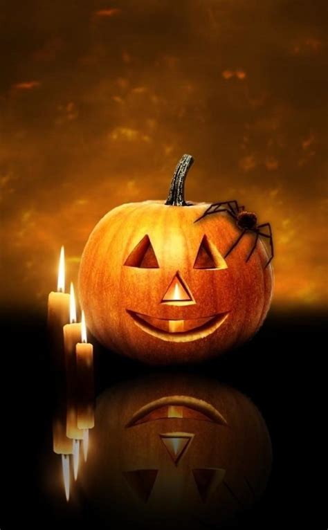 Cabeza de calabaza de halloween | wallpaper.sc iPhone4s,4