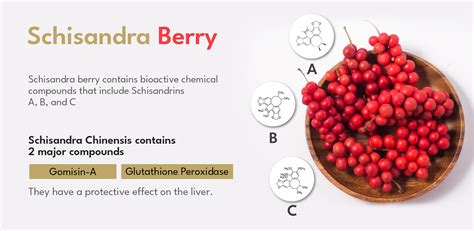 6 Schisandra Berry Benefits - Where To Buy | GinSen