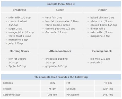 Gastroparesis Diet Plans | Gastroparesis diet, Gastroparesis, Diet plan