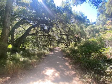 2023 Best 10 Trails and Hikes in La Canada Flintridge | AllTrails