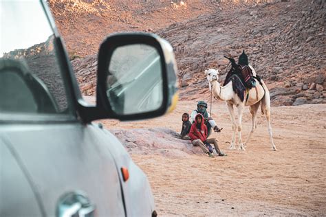 Camel Ride Photos, Download The BEST Free Camel Ride Stock Photos & HD ...