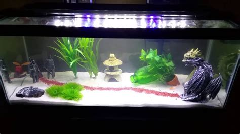 20 gallon long fish tank initial setup - YouTube