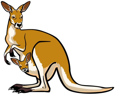 Clip art kangaroo | Clipart Panda - Free Clipart Images