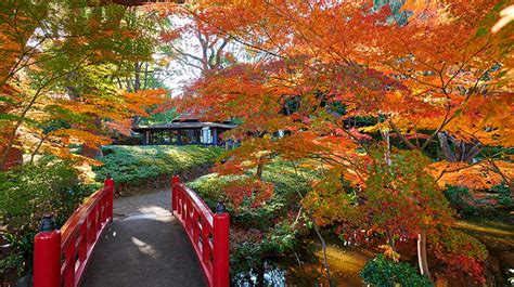 Hotel New Otani Tokyo The Main - Tokyo Hotels - Tokyo, Japan - Forbes ...