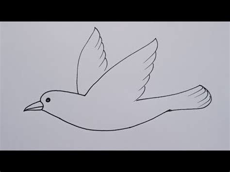 how to draw flying crow drawing easy step for beginners@DrawingTalent ...