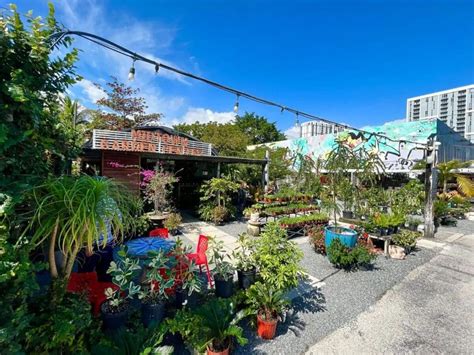 10 Best Miami Plant Shops To Turn Your Home Into A Tropical Oasis ...