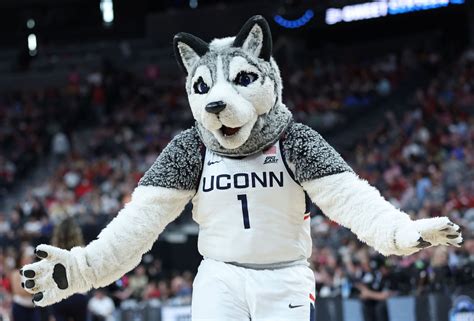 Why is UConn’s mascot a husky? Exploring the history and legacy of ...