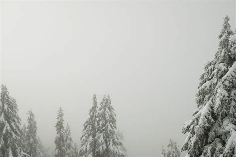 Grouse Mountain snowshoeing in the fog • Wedding photographers for ...