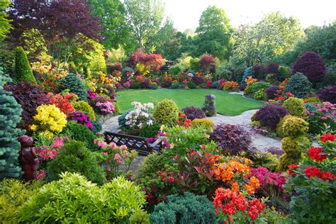 Beautiful azalea flowers in early summer (June 8th) | Flickr