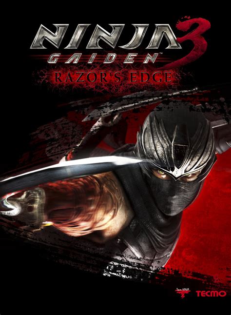 Download Video Game Ninja Gaiden 3: Razor's Edge Image